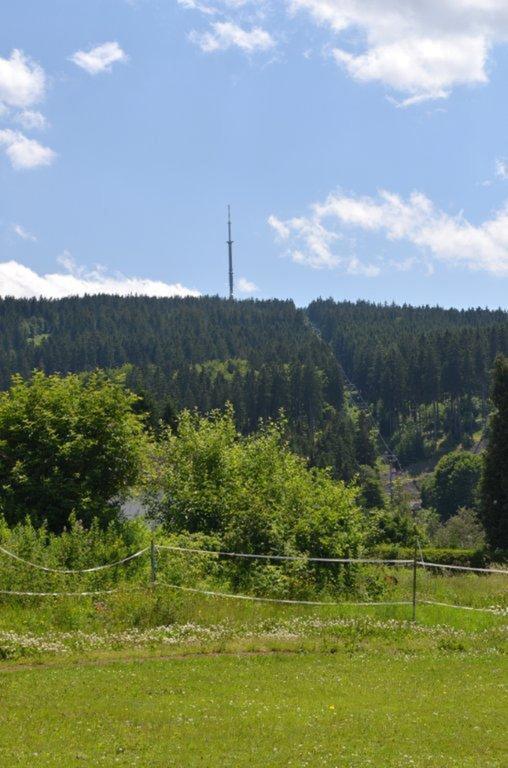 Ferienwohnung Hopfennest Bischofsgrün Exteriör bild